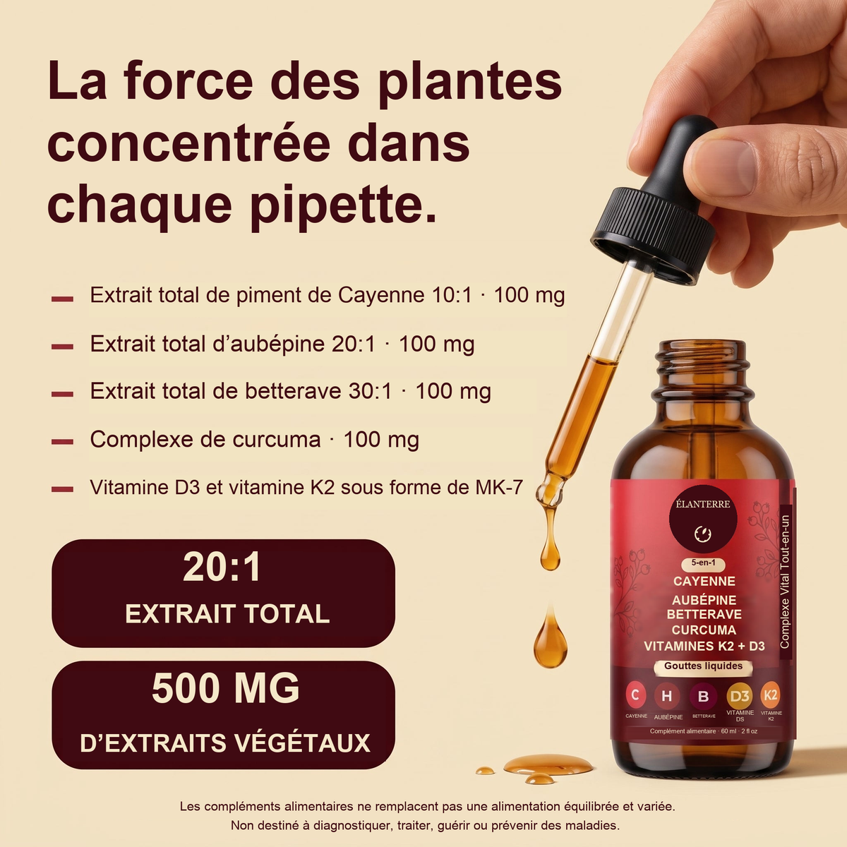 ÉLANTERRE — visuel de revue 3