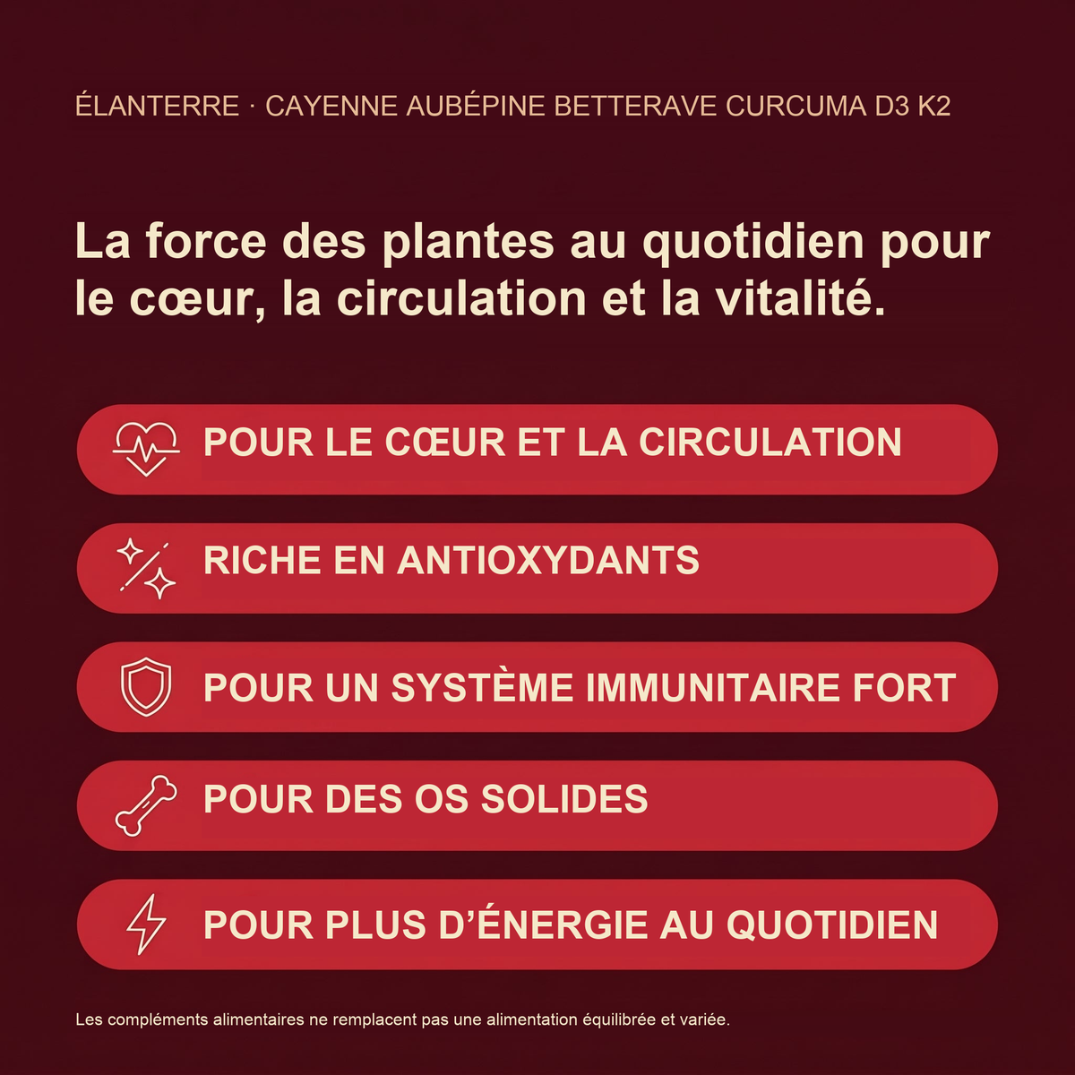 ÉLANTERRE — visuel de revue 2